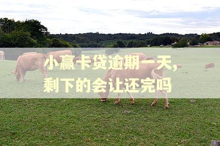 小赢卡贷逾期一天,剩下的会让还完吗 小赢卡贷逾期一天,剩下的会让还完吗