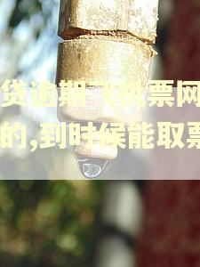 网贷逾期飞机票网上买的,到时候能取票吗