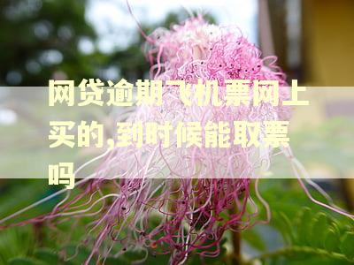 网贷逾期飞机票网上买的,到时候能取票吗
