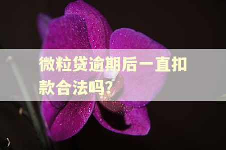 微粒贷逾期后一直扣款合法吗？