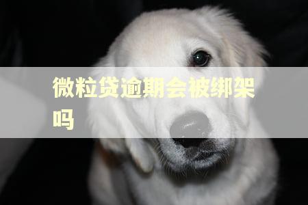 微粒贷逾期会被绑架吗