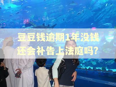 豆豆钱逾期1年没钱还会补告上法庭吗?