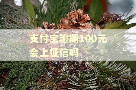 支付宝逾期100元会上征信吗