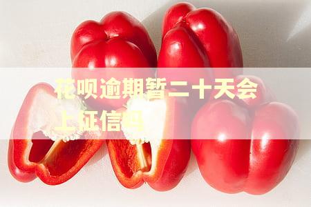 花呗逾期暂二十天会上征信吗