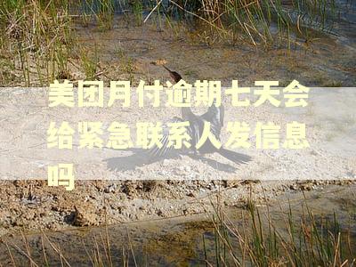 美团月付逾期七天会给紧急联系人发信息吗