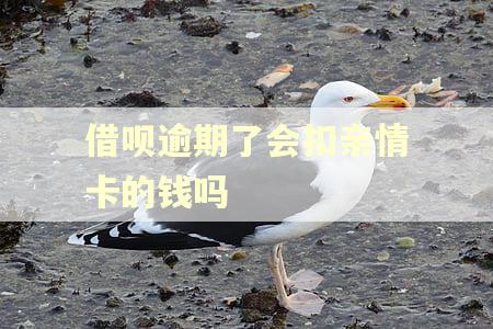 借呗逾期了会扣亲情卡的钱吗 借呗逾期了会扣亲情卡的钱吗