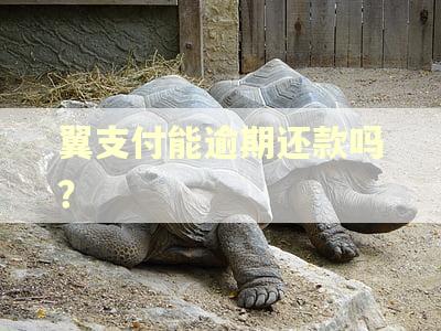 翼支付能逾期还款吗？