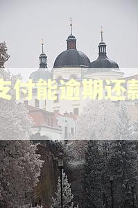 翼支付能逾期还款吗? 翼支付能逾期还款吗?
