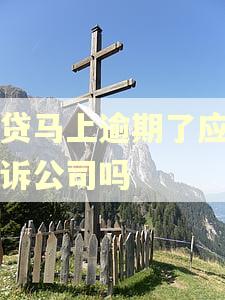 网贷马上逾期了应该告诉公司吗