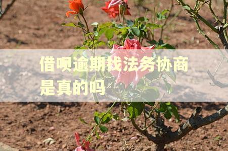 借呗逾期找法务协商是真的吗