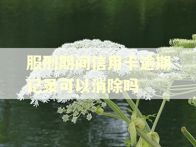 服刑期间信用卡逾期记录可以消除吗
