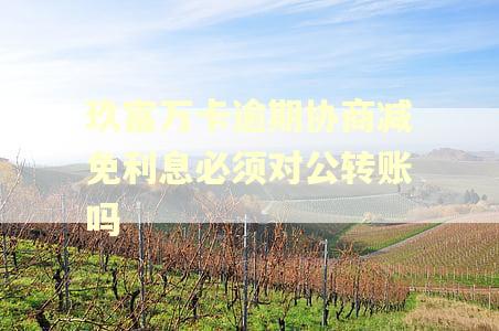 玖富万卡逾期协商减免利息必须对公转账吗