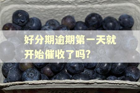 好分期逾期第一天就开始催收了吗?