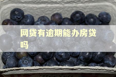 网贷有逾期能办房贷吗