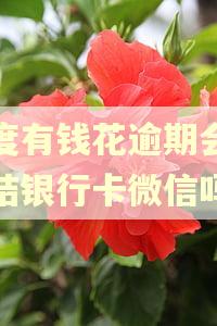 百度有钱花逾期会被冻结银行卡微信吗