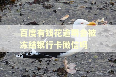 百度有钱花逾期会被冻结银行卡微信吗