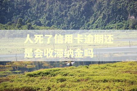 人死了信用卡逾期还是会收滞纳金吗 人死了信用卡逾期还是会收滞纳金吗