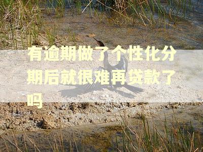 有逾期做了个性化分期后就很难再贷款了吗