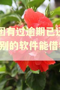 美团有过逾期已还清,在别的软件能借钱吗