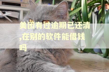 美团有过逾期已还清,在别的软件能借钱吗 美团有过逾期已还清,在别的软件能借钱吗