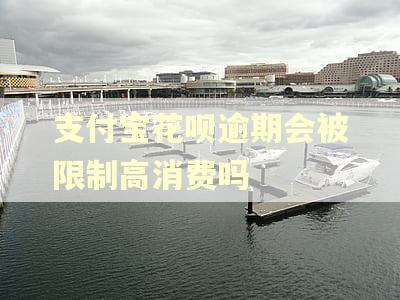 支付宝花呗逾期会被限制高消费吗
