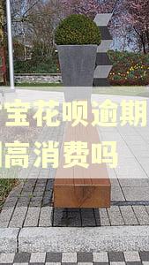 支付宝花呗逾期会被限制高消费吗 支付宝花呗逾期会被限制高消费吗