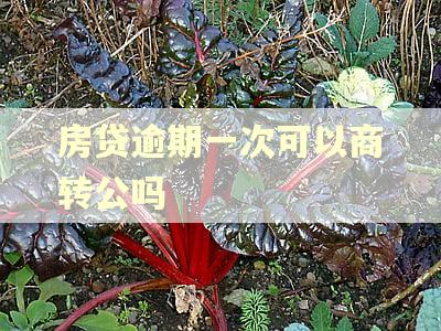 房贷逾期一次可以商转公吗 房贷逾期一次可以商转公吗