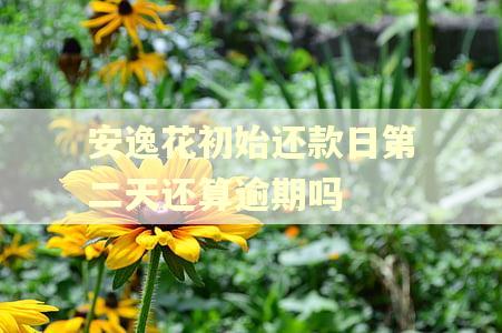 安逸花初始还款日第二天还算逾期吗 安逸花初始还款日第二天还算逾期吗