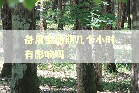 备用金逾期几个小时有影响吗