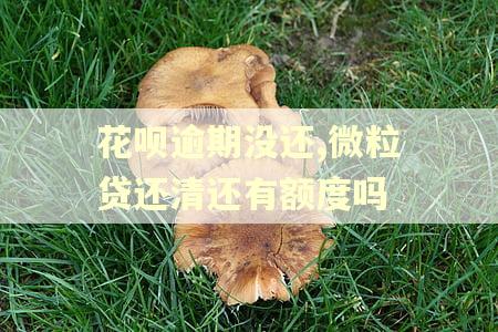 花呗逾期没还,微粒贷还清还有额度吗
