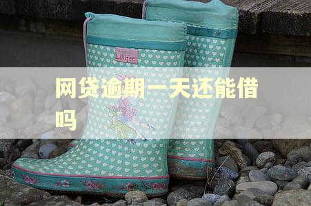 网贷逾期一天还能借吗