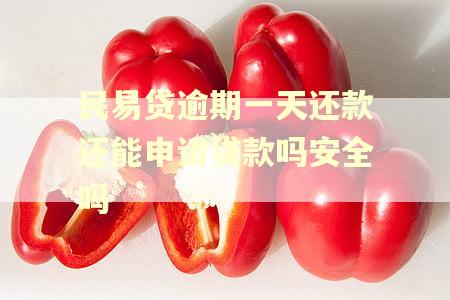 民易贷逾期一天还款还能申请贷款吗安全吗