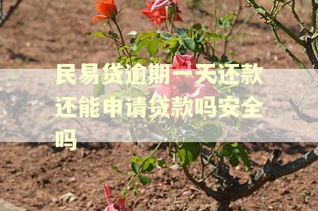 民易贷逾期一天还款还能申请贷款吗安全吗