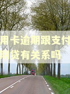 信用卡逾期跟支付宝好期贷有关系吗