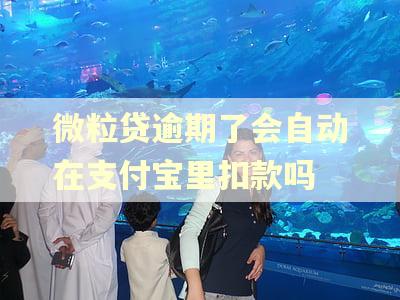 微粒贷逾期了会自动在支付宝里扣款吗