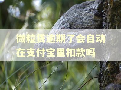 微粒贷逾期了会自动在支付宝里扣款吗