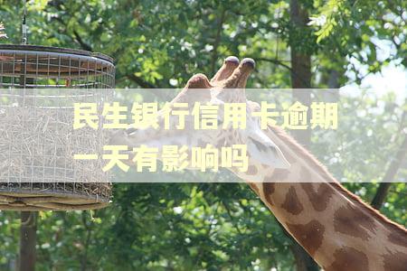 民生银行信用卡逾期一天有影响吗