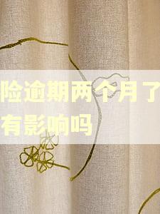 车险逾期两个月了再买有影响吗