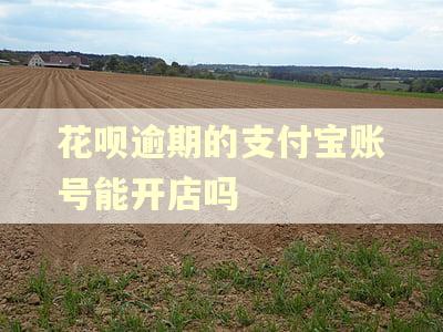 花呗逾期的支付宝账号能开店吗