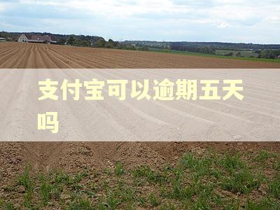 支付宝可以逾期五天吗