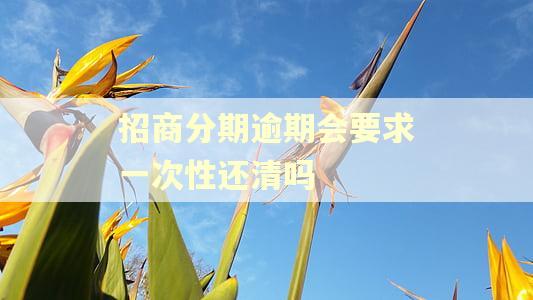 招商分期逾期会要求一次性还清吗 招商分期逾期会要求一次性还清吗