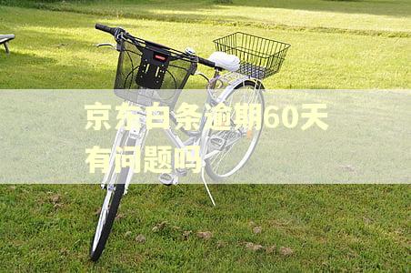 京东白条逾期60天有问题吗 京东白条逾期60天有问题吗