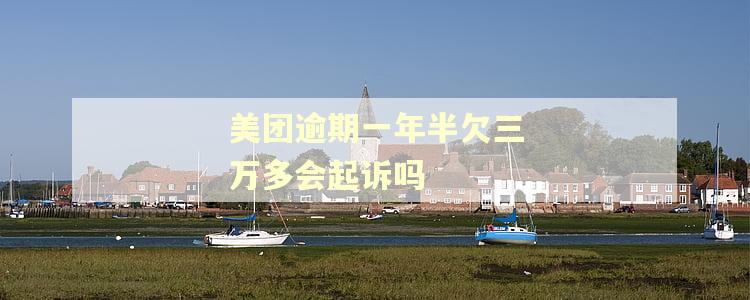 美团逾期一年半欠三万多会起诉吗