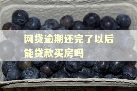 网贷逾期还完了以后能贷款买房吗