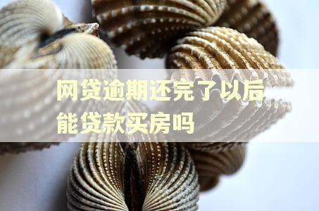 网贷逾期还完了以后能贷款买房吗