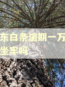 京东白条逾期一万五会坐牢吗