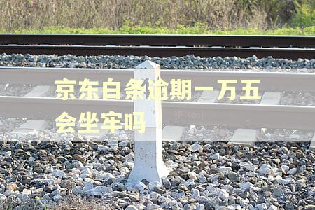 京东白条逾期一万五会坐牢吗
