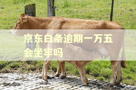 京东白条逾期一万五会坐牢吗
