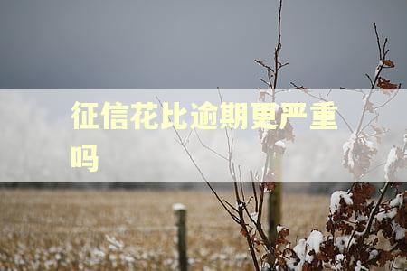 征信花比逾期更严重吗