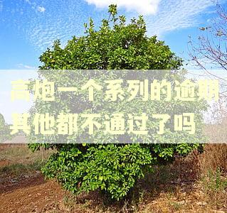 高炮一个系列的逾期其他都不通过了吗